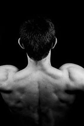 Blow Up Your Shoulders and Triceps For XL Muscle