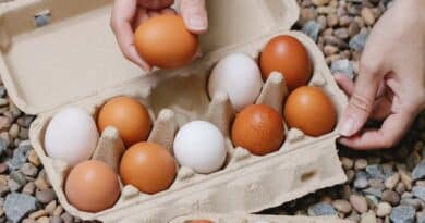 what are Health Benefits of white Eggs and brown eggs